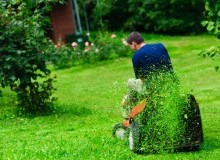 Kwikfynd Lawn Mowing
talofa