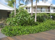 Kwikfynd Residential Landscaping
talofa