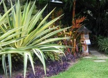 Kwikfynd Tropical Landscaping
talofa